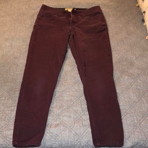 Democracy ab technology purple/red maroon pants size 6